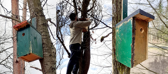 obrázek zpráva Ptačí budky vyhlížejí první podnájemníky