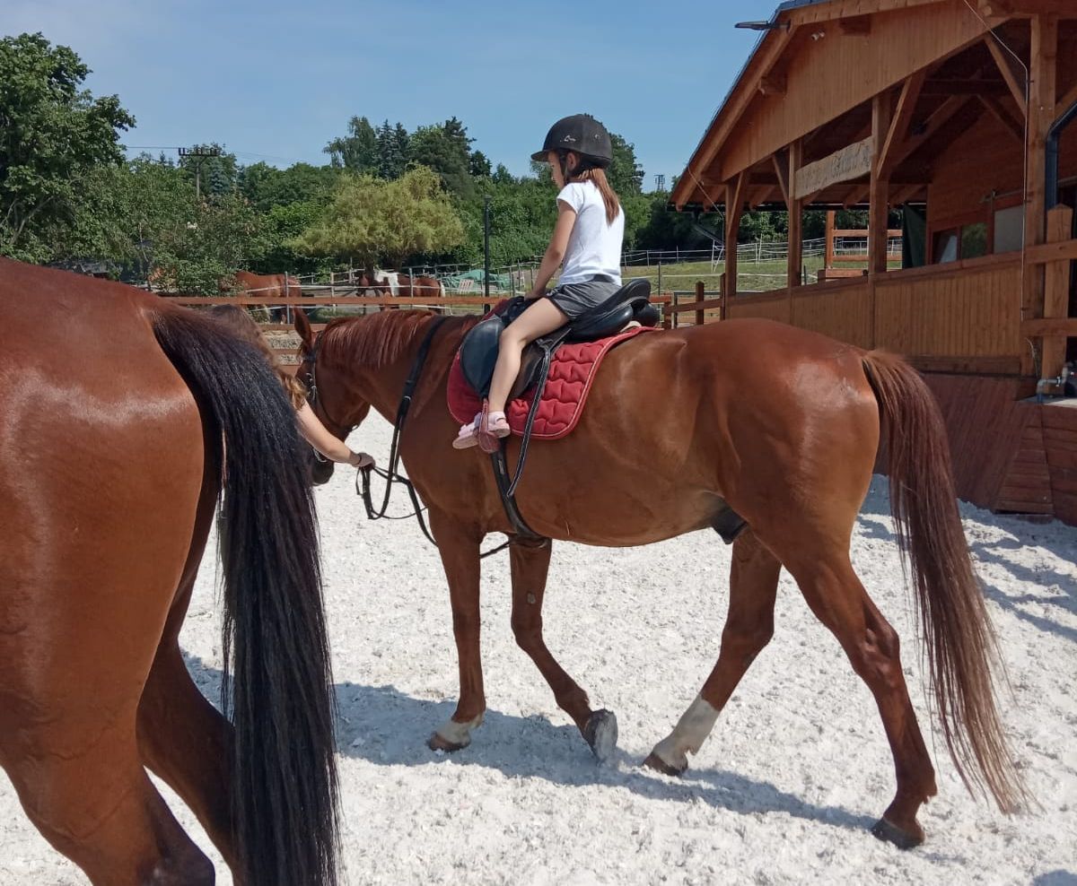 obrázek zpráva Návštěva stájí U Codyho