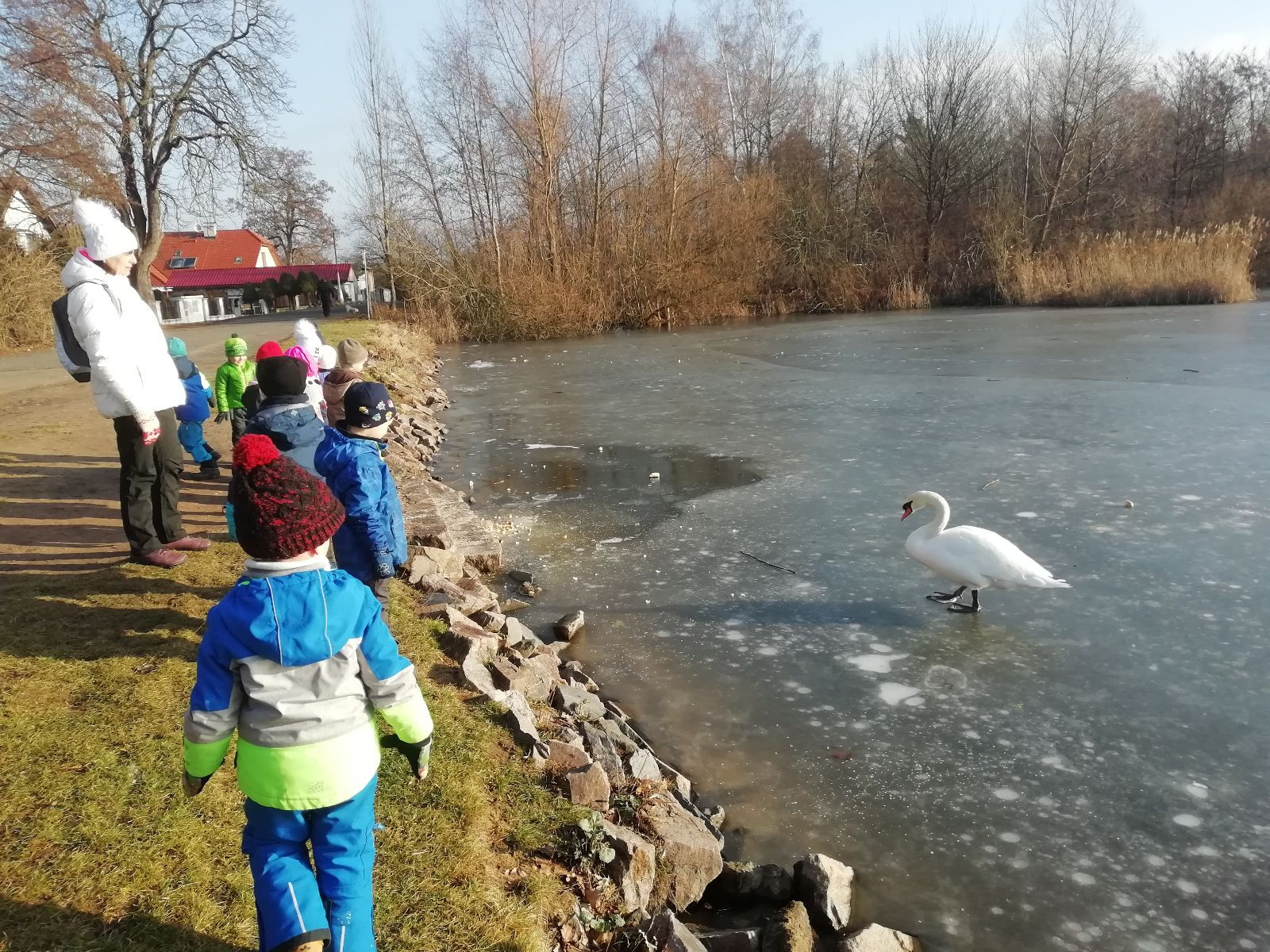 obrázek zpráva Zima v přírodě