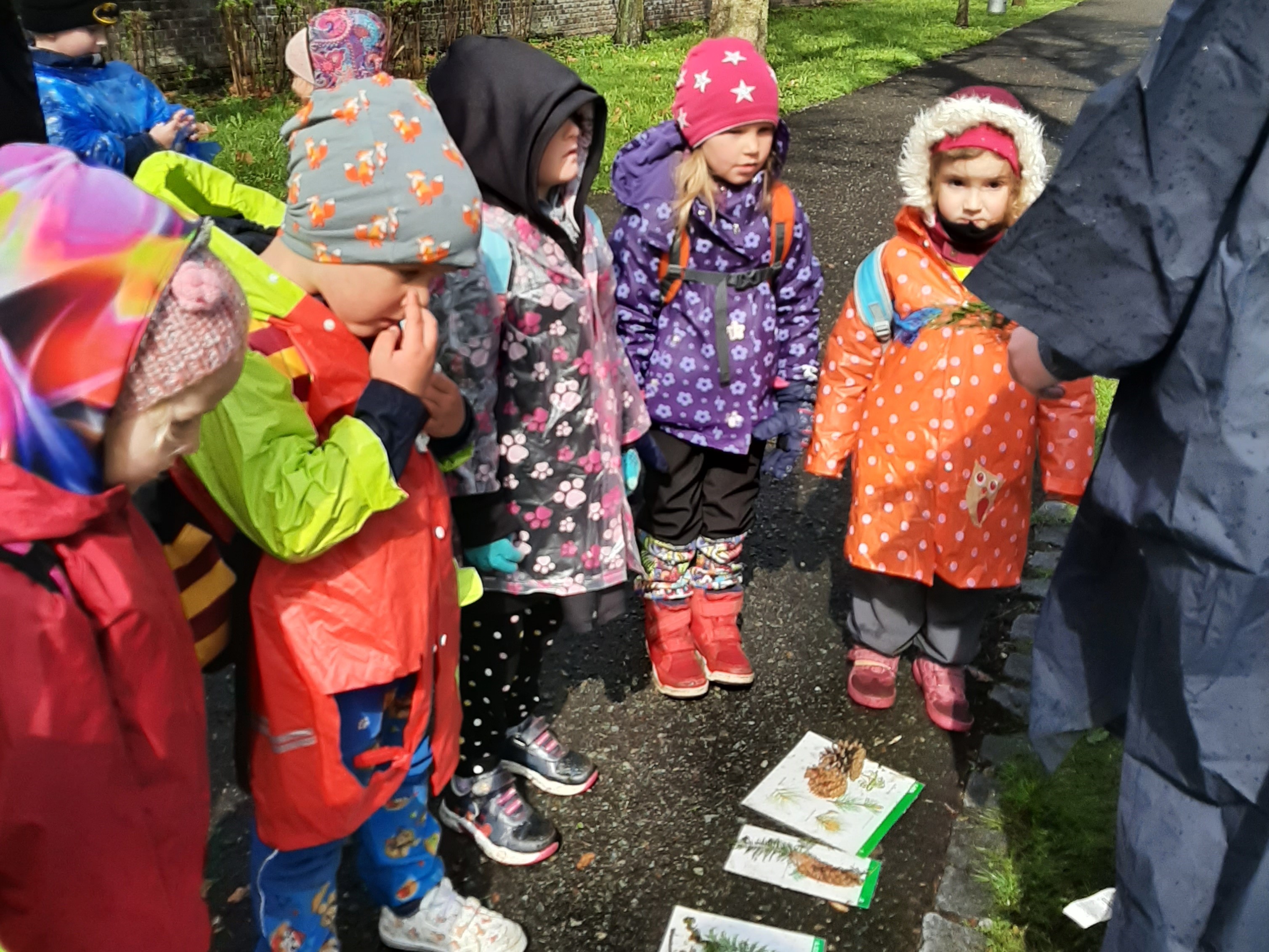 obrázek zpráva Den země