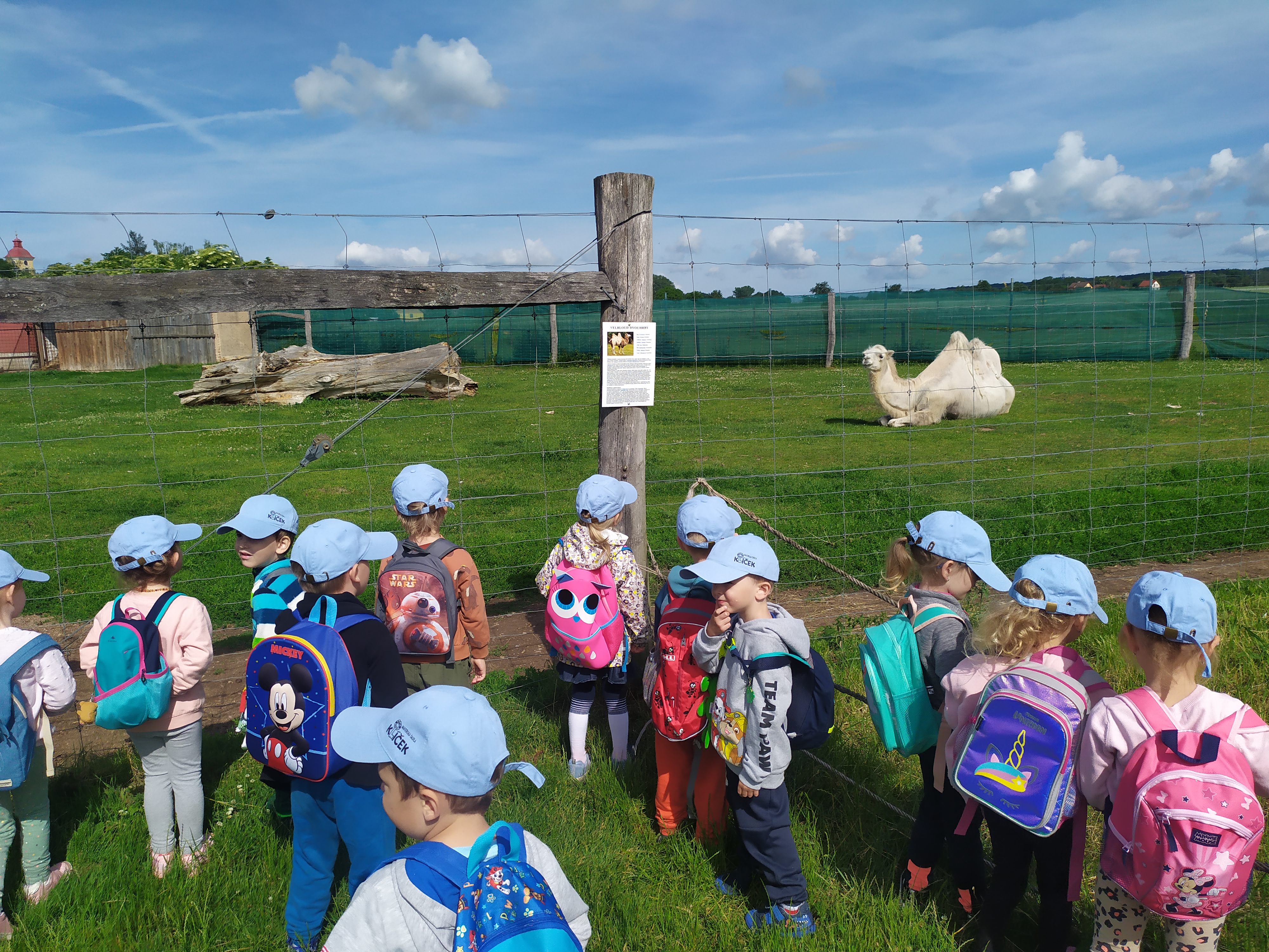 obrázek zpráva Zelený a modrý klíček navštívil Zoopark Stěžery
