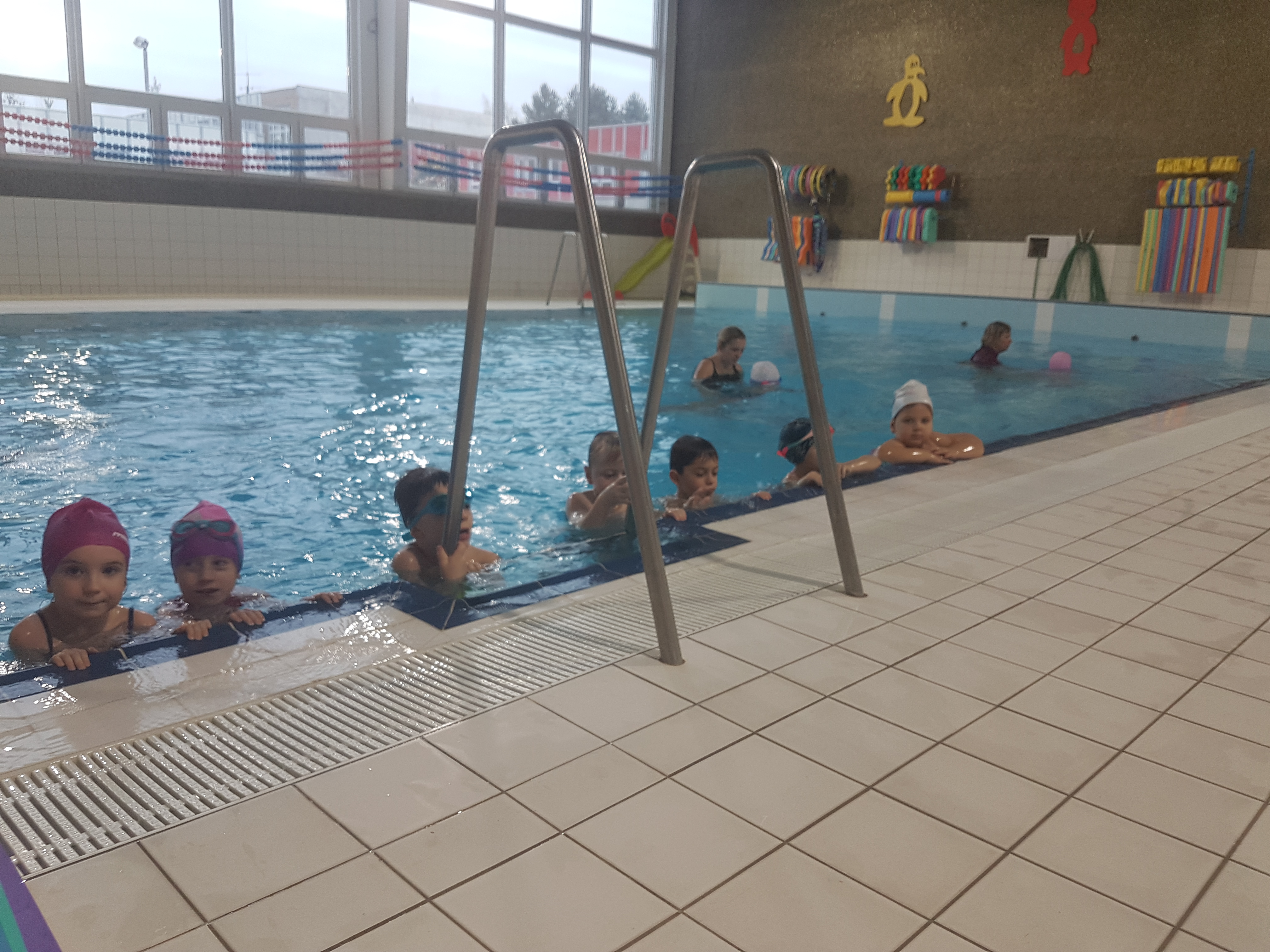 obrázek zpráva Plavecký výcvik v ČK