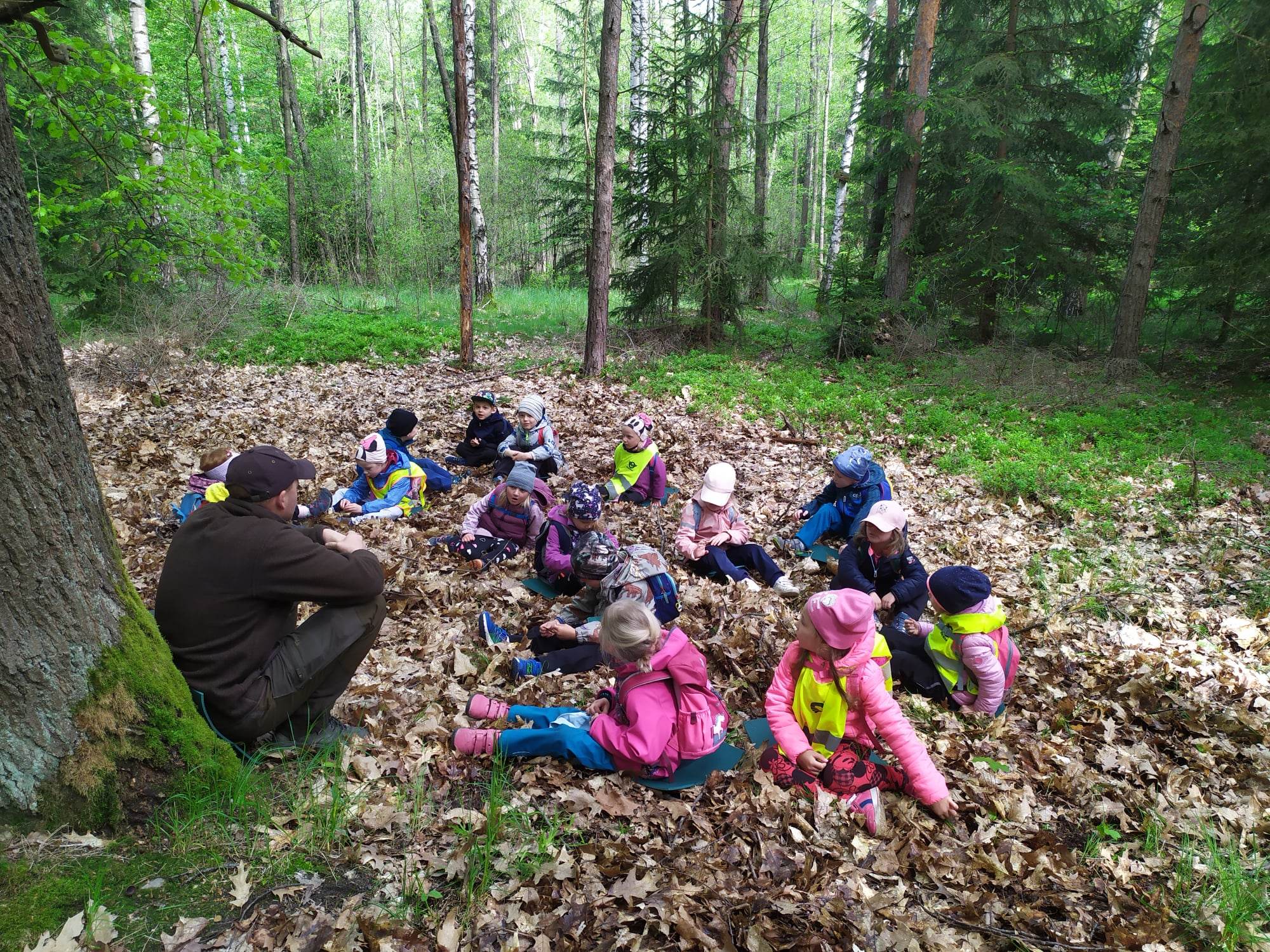 obrázek zpráva Fialový klíček na vycházce v lese