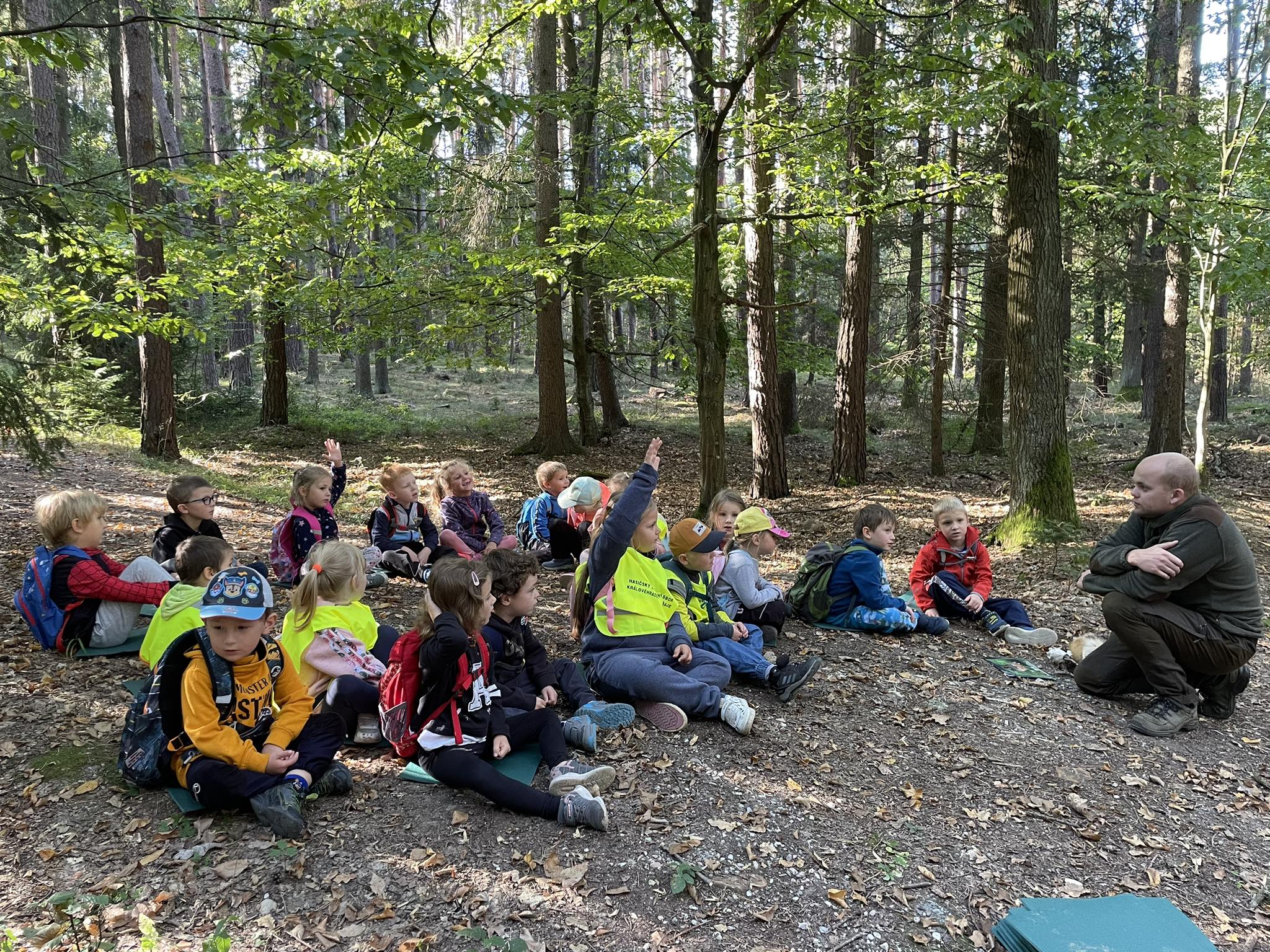 obrázek zpráva Výlet do lesa