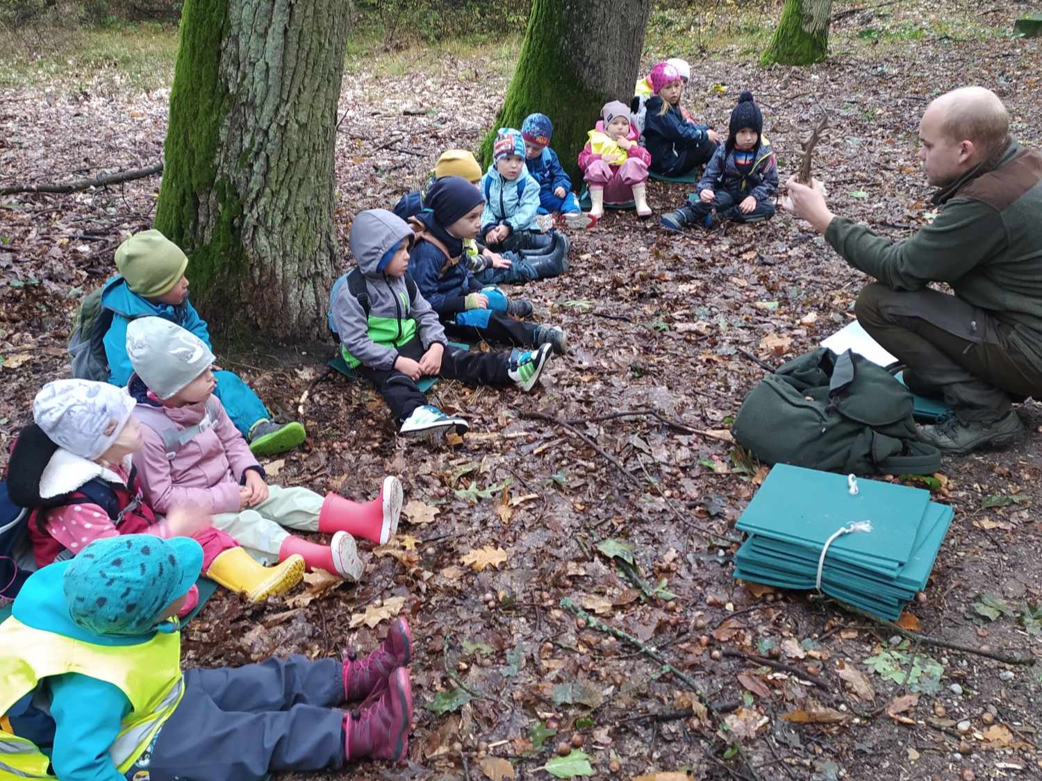 obrázek zpráva Výlet do lesa žlutého klíčku