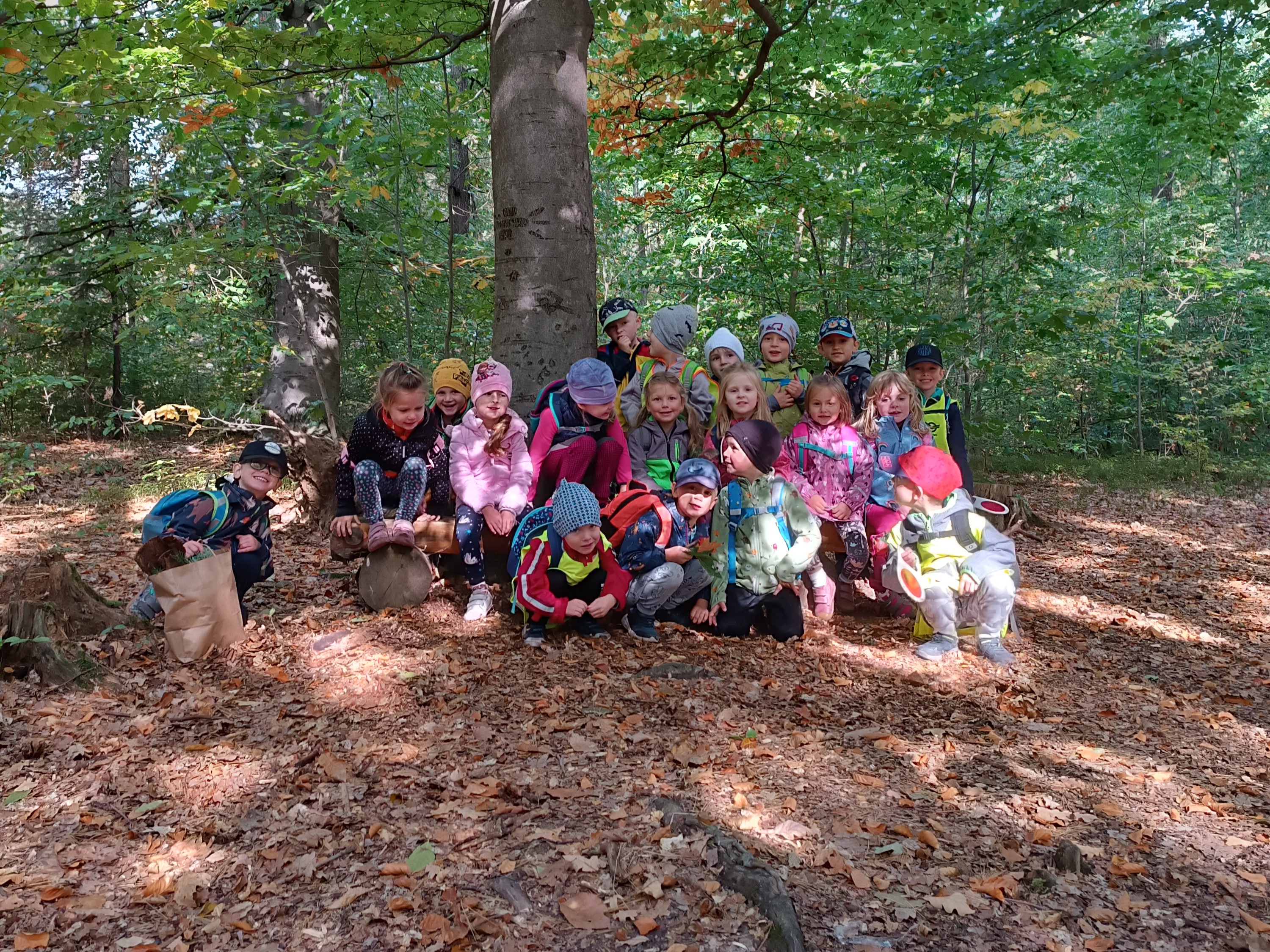 obrázek zpráva Návštěva lesa s lesním pedagogem