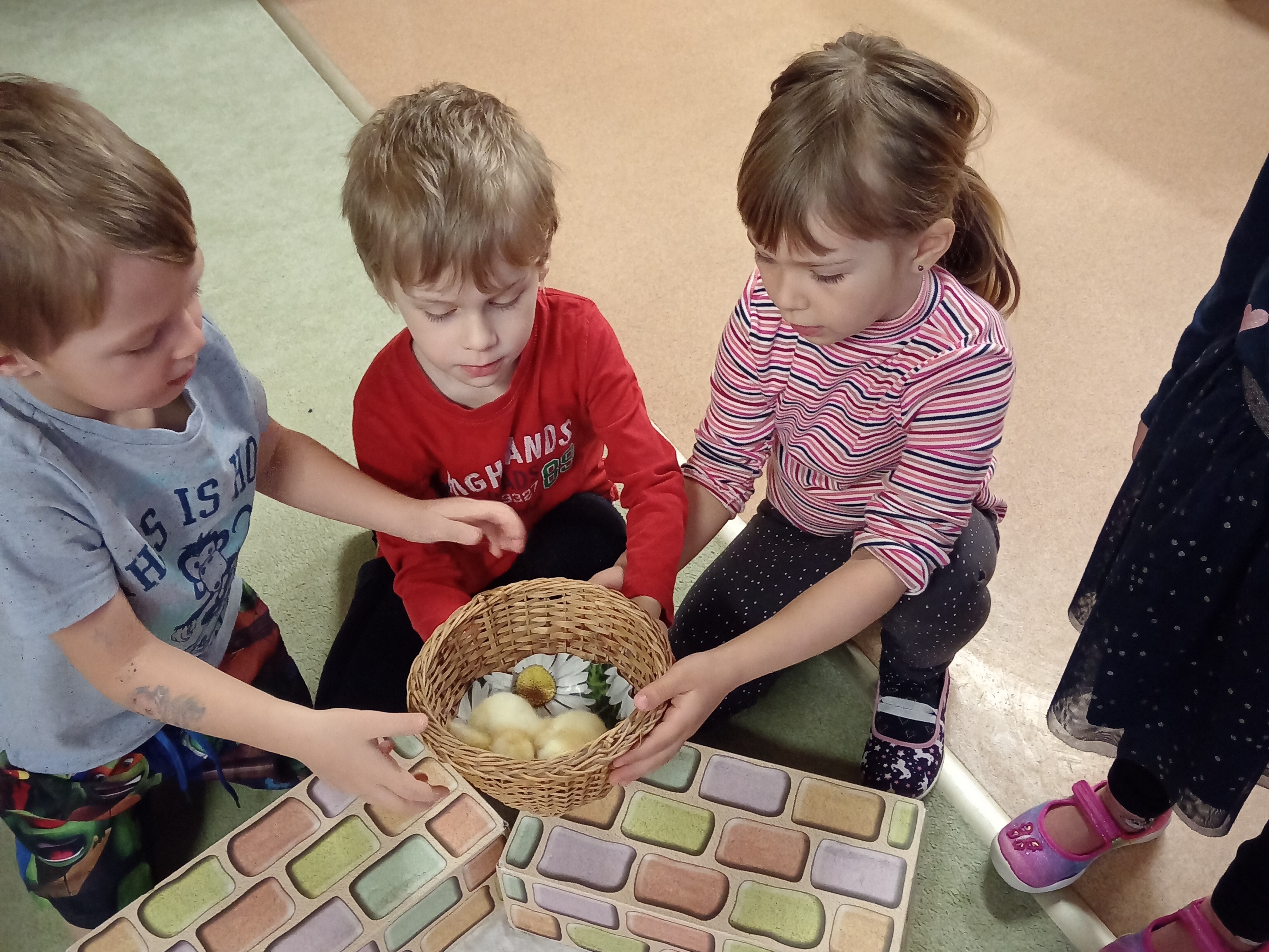 obrázek zpráva Děti ze žlutého a fialového klíčku pozorovaly líhnutí kuřátek
