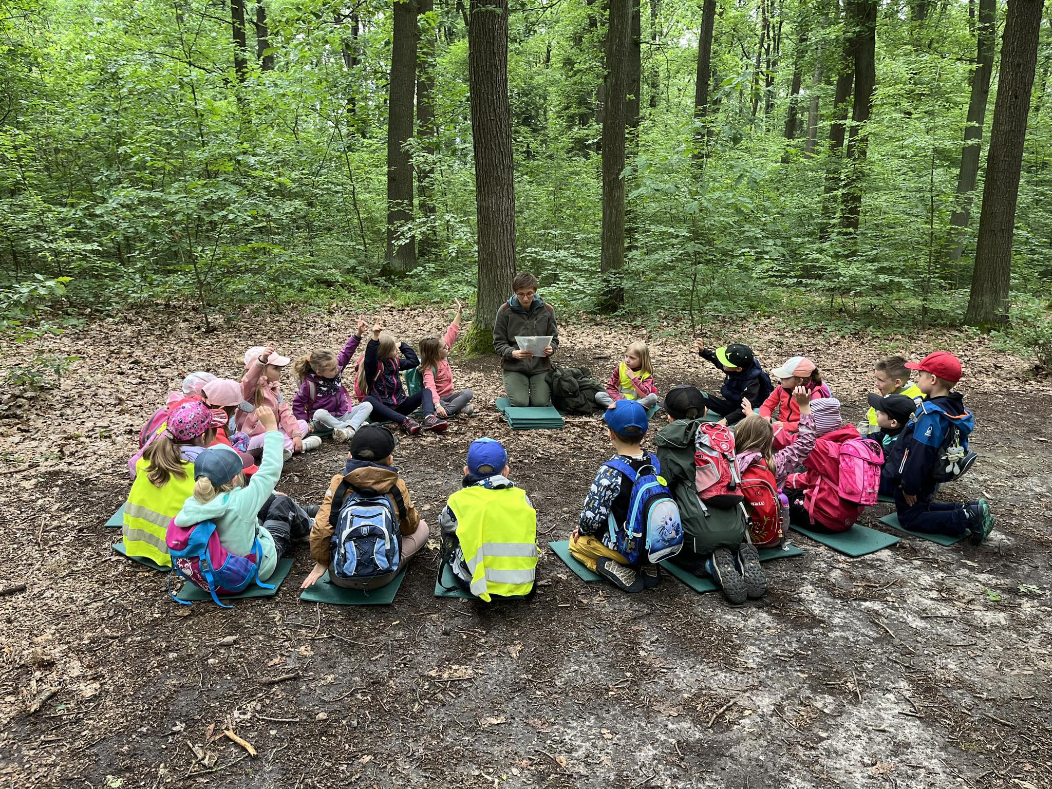 obrázek zpráva Červený klíček na vycházce v lese