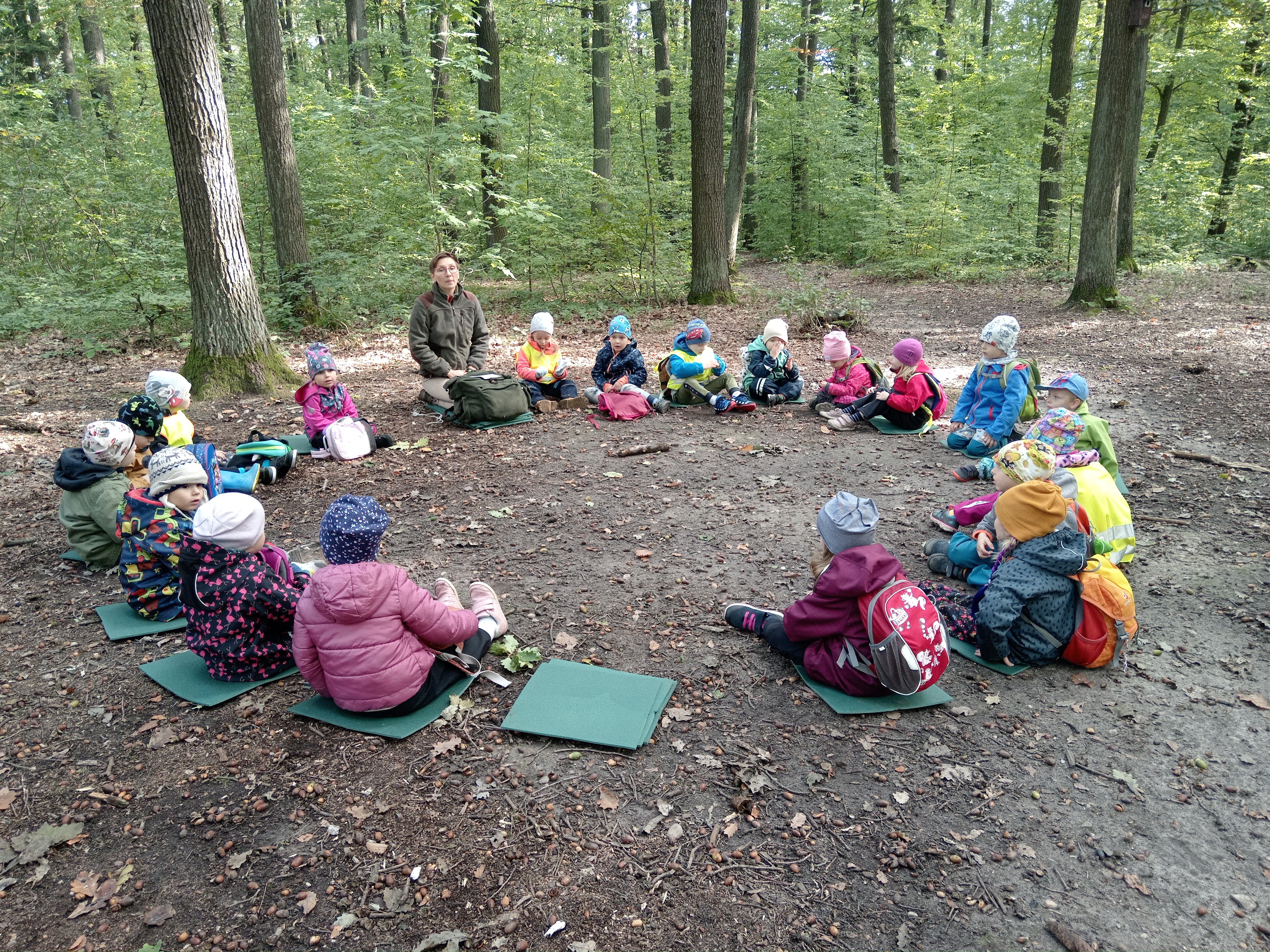 obrázek zpráva Děti ze ŽK byly s lesní pedagožkou na procházce v lese