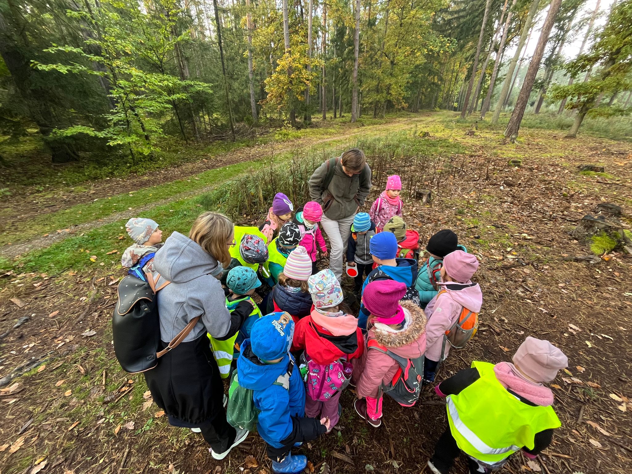 obrázek zpráva Oranžový klíček se procházel lesem