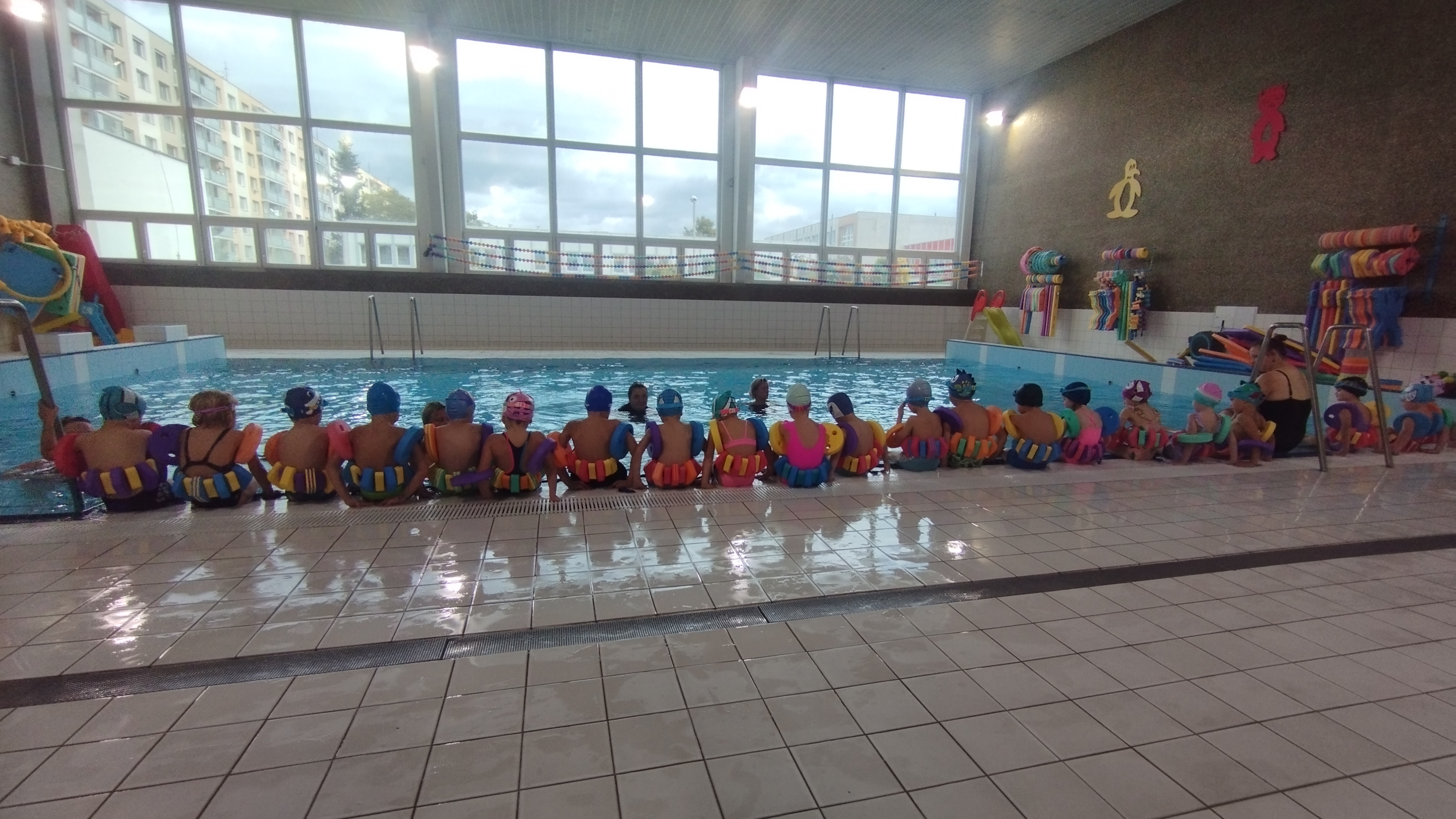 obrázek zpráva První plavání