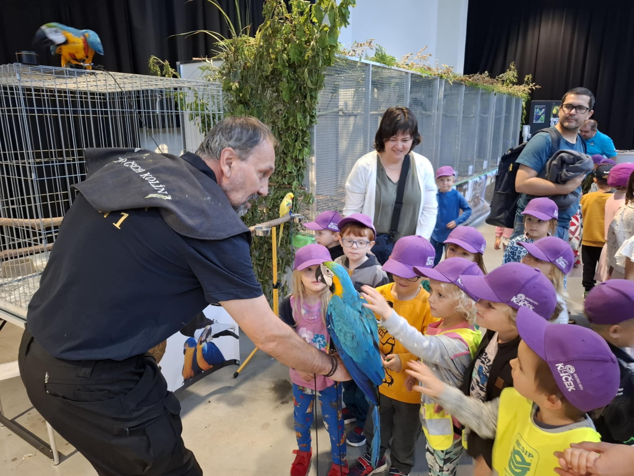 obrázek zpráva Výstava exotického ptactva