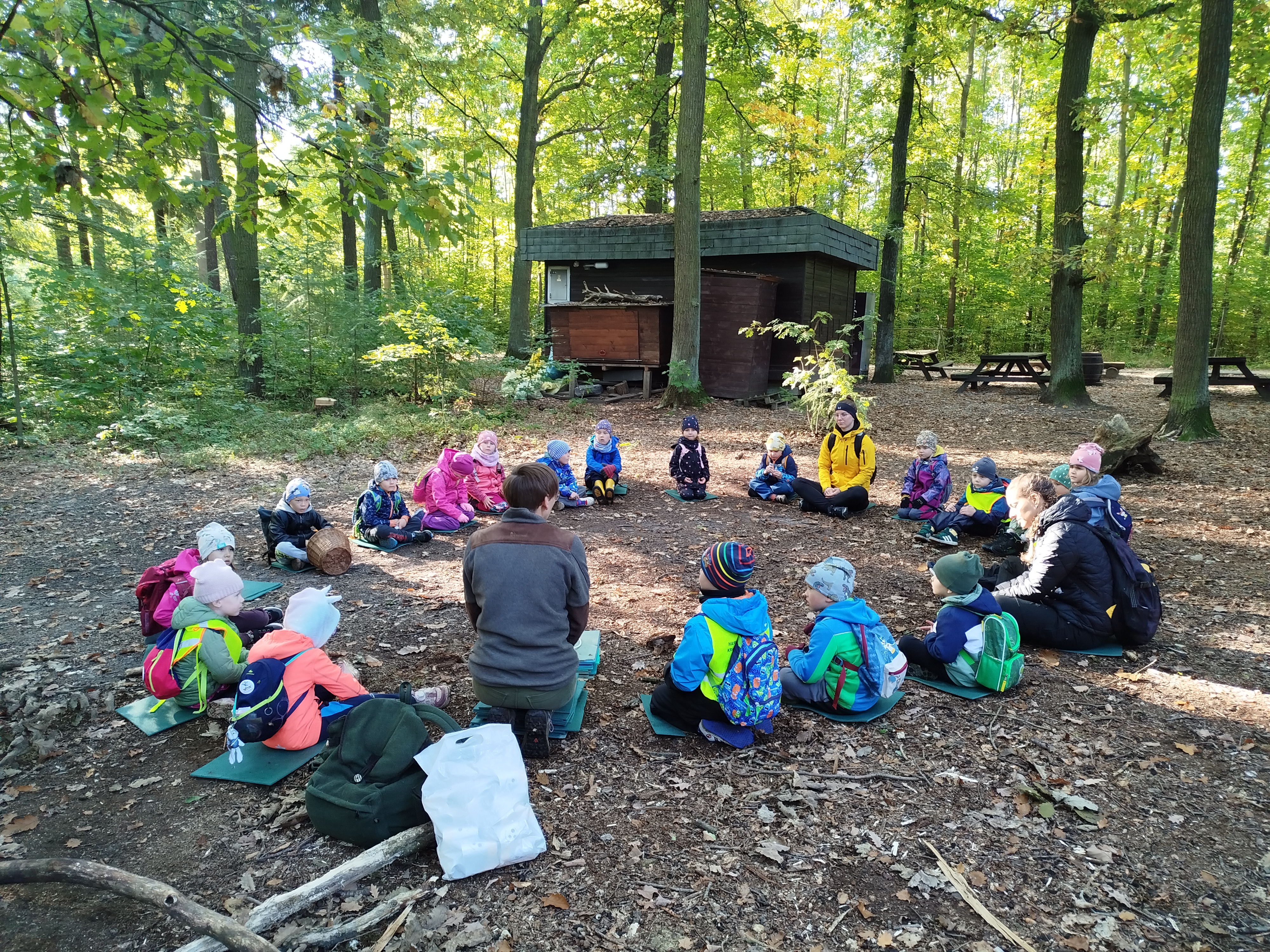 obrázek zpráva Návštěva lesa