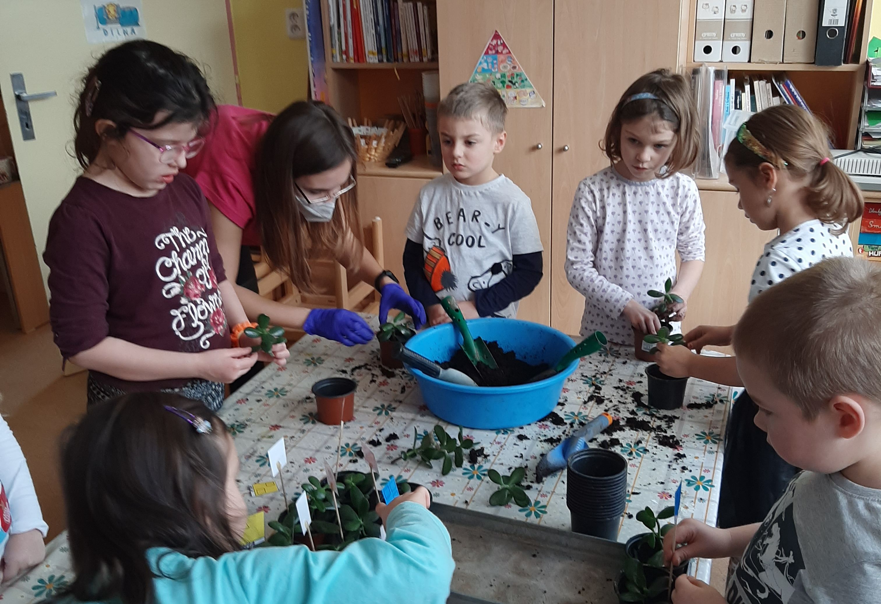 obrázek zpráva Příběh o jedné sazeničce